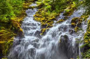 Proxy Falls-0212.jpg